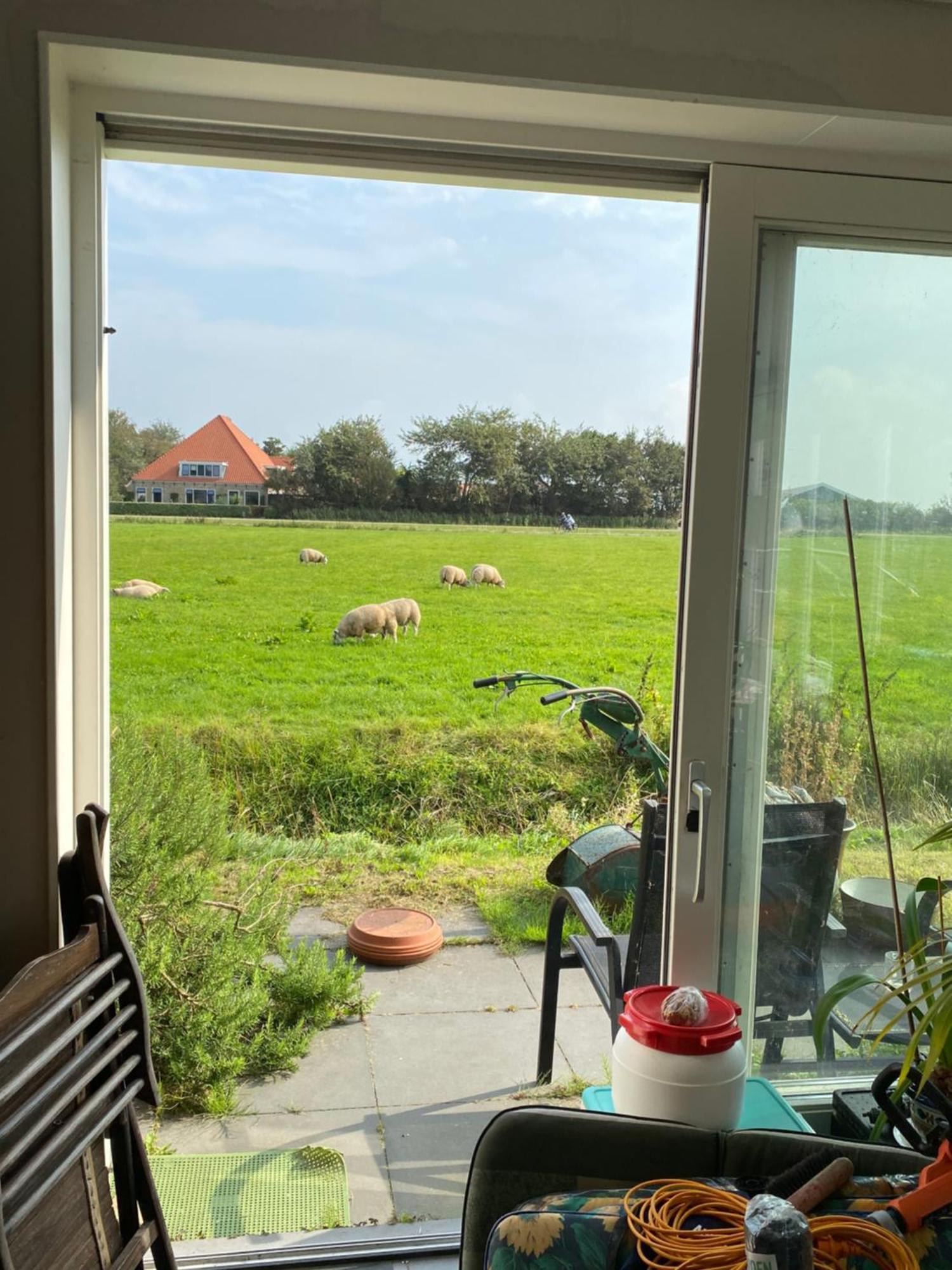 Oomes Huus Haestens And Koffie Den Hoorn  Luaran gambar