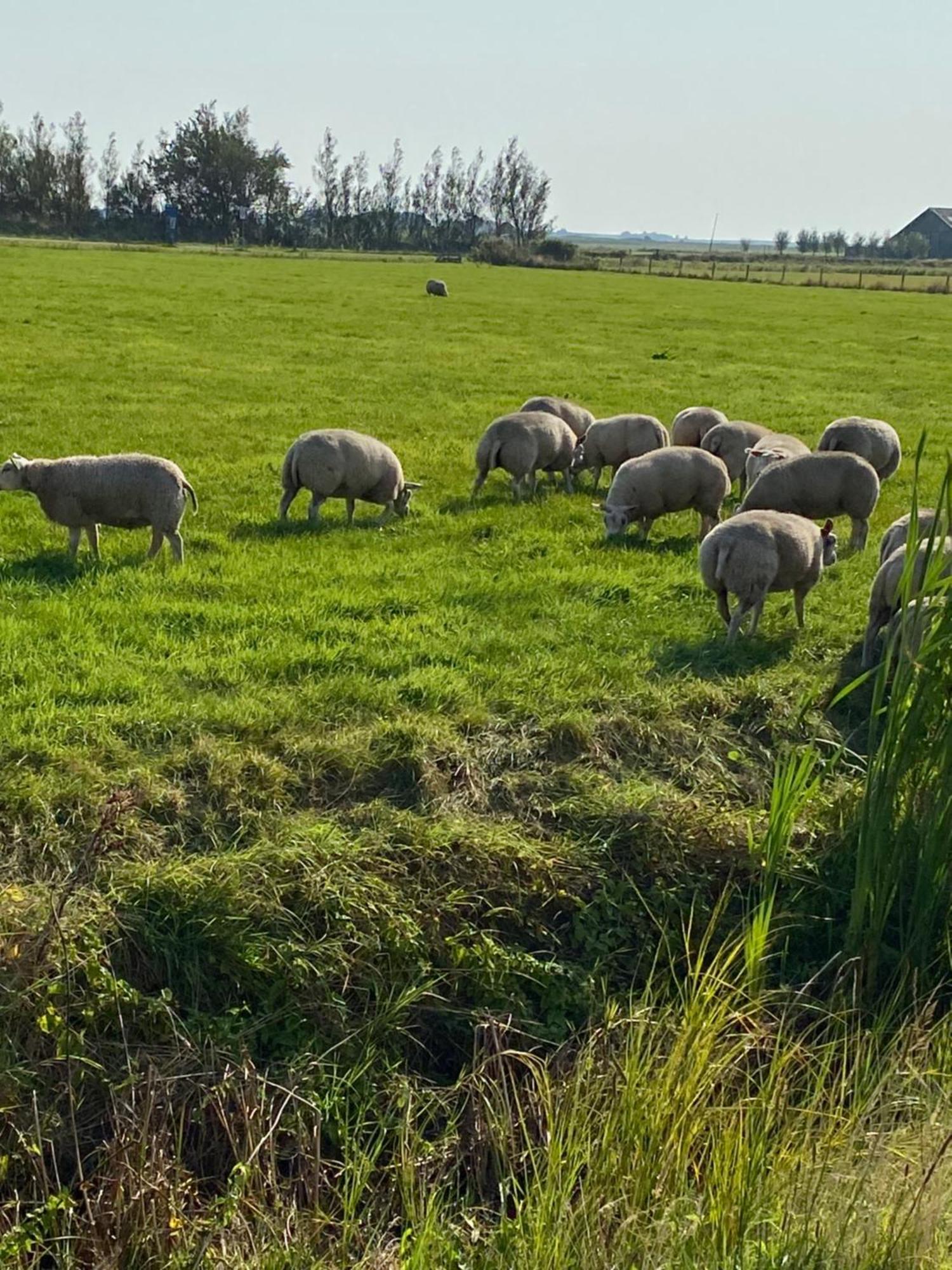 Oomes Huus Haestens And Koffie Den Hoorn  Luaran gambar