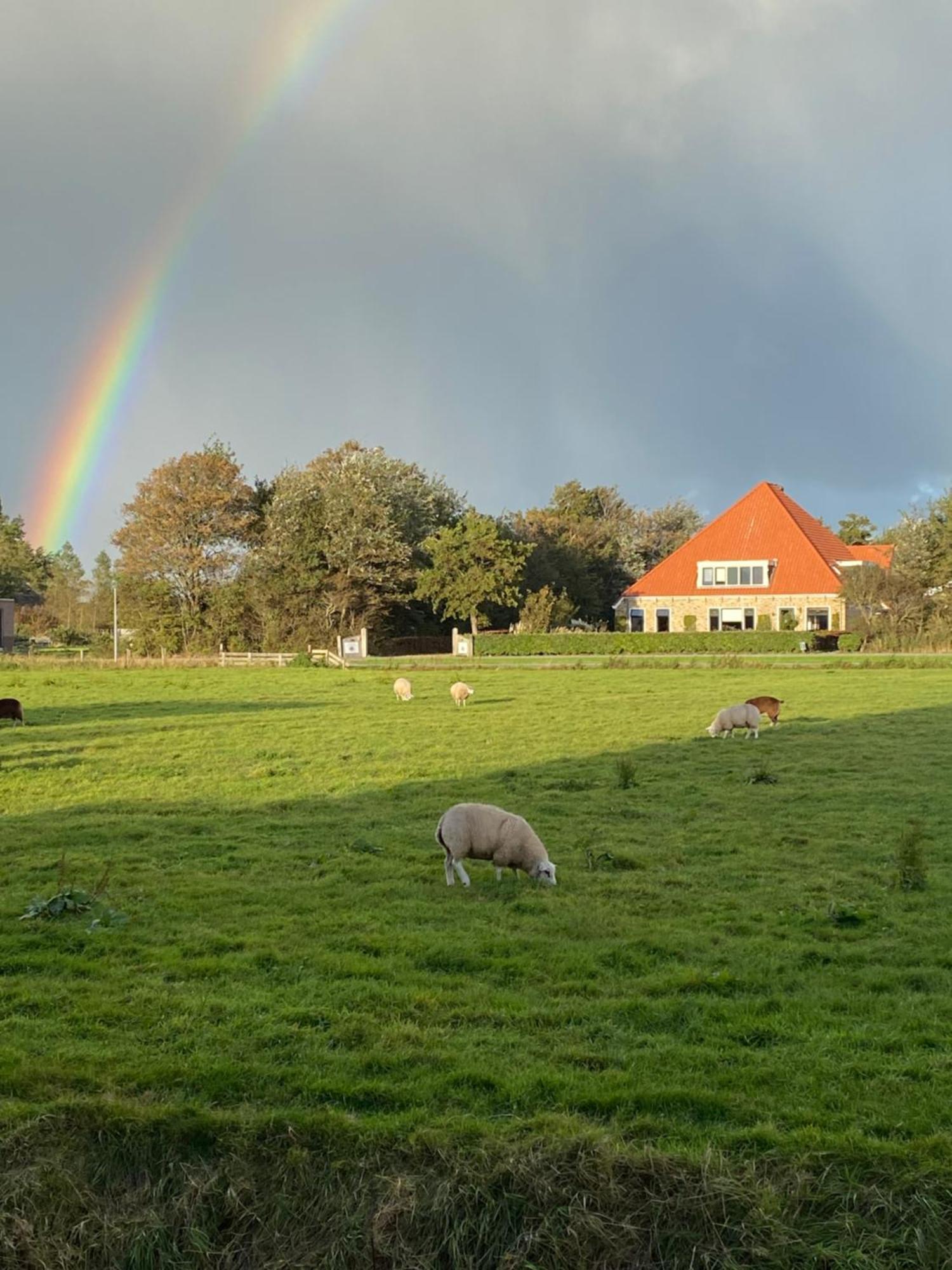 Oomes Huus Haestens And Koffie Den Hoorn  Luaran gambar