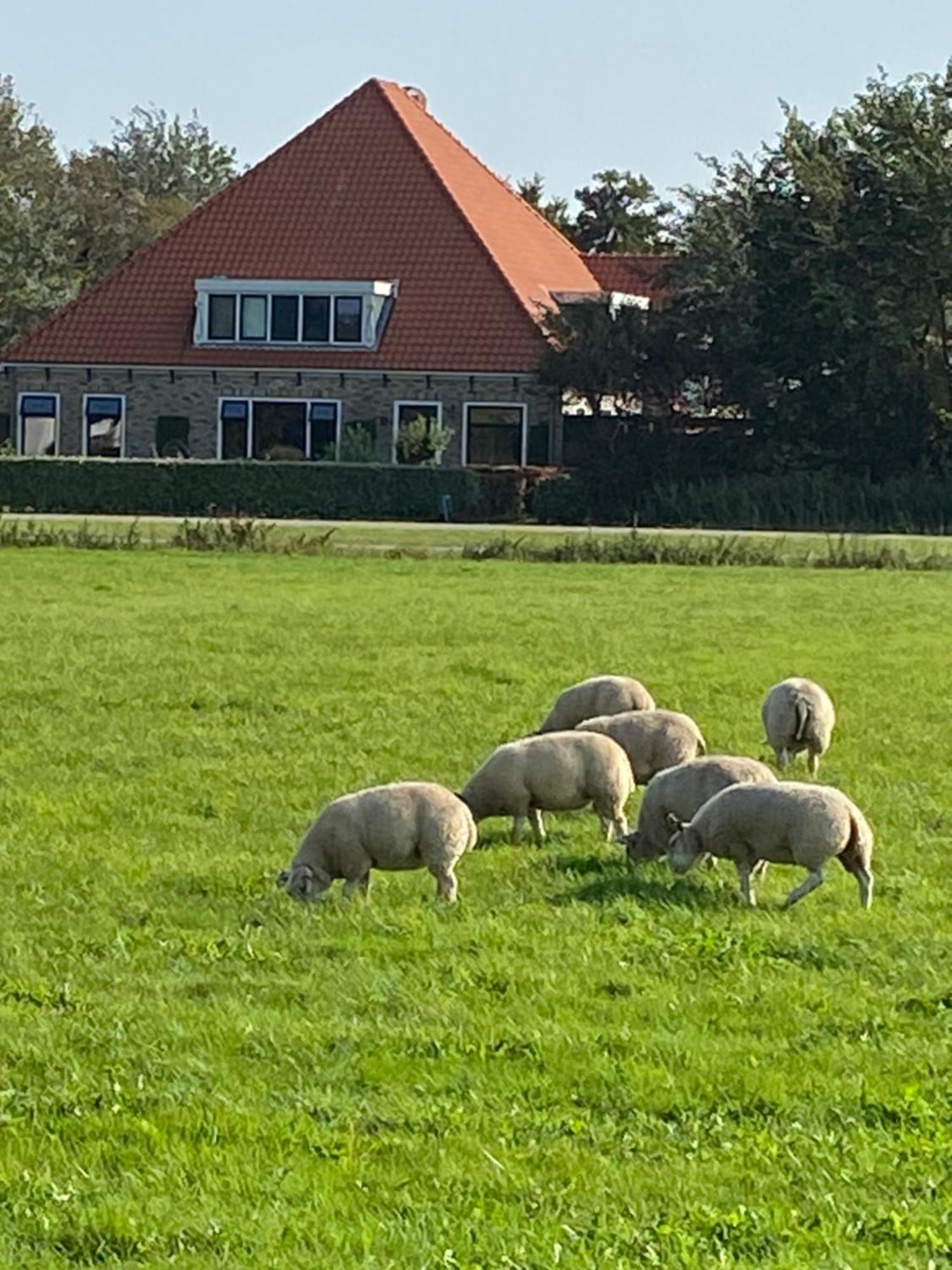 Oomes Huus Haestens And Koffie Den Hoorn  Luaran gambar